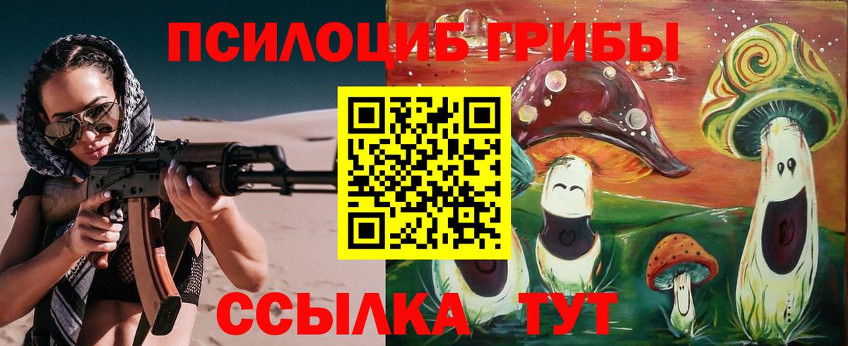 Псилоцибиновые грибы прущие грибы  Вход с VPN  Шадринск 