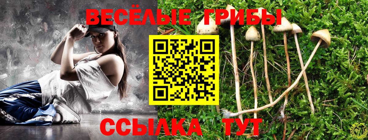Псилоцибиновые грибы прущие грибы Шадринск